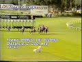 1984 (96) Premio BANCO DE BILBAO (1.ª C.) (ARAMEO)