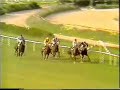 1984 (96) Premio BANCO DE BILBAO (1.� C.) (ARAMEO)