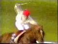 1984 (96) Premio BANCO DE BILBAO (1.ª C.) (ARAMEO)