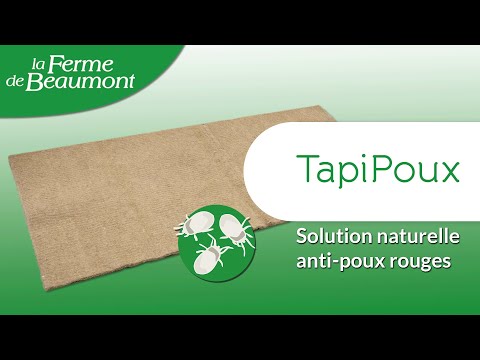 TapiPoux