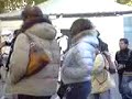 Abbracci Gratis a Lucca