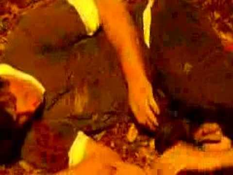 The Epic Struggle of Joseph Wheeler