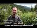 Grandfather Mountain Goes GREEN