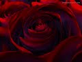 ASKIM- Dj Samet, McKoray60, Zindan,MaLaTyA sTyLeR ASKIM- Dj Samet, McKoray60, Zindan,MaLaTyA sTyLeR