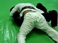 Hayakawa seminar in kln bjj 3