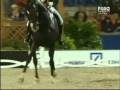 videos de Equus Caballus//TikToxic//800+Subscribers