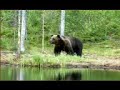 Finnish nature