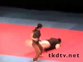 Korean National Tae Kwon Do Demo Team