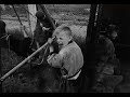 Search Video