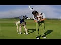 love fever