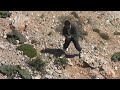 Jaghori ashkah bahari 2007 video az HA