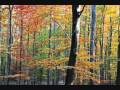 herfst 2009