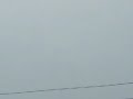 Tree sparking with power line due to Hurricane Igor in St Johns Newfoundland