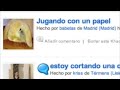 El conejo microblogger