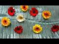 allowing moments of mindfulness
