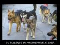 Quiero Ser Libre - Crido