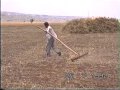 cafer-buser.html