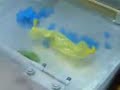 Balloon in liquid nitrogen