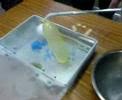 Balloon in liquid nitrogen