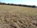 Metal Detecting An Old Fairground in Hope Ar