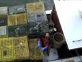 videos de late nov storm