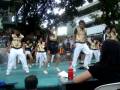 Seniors Interbatch Performance