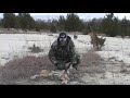Coyote hunting 1-21-08