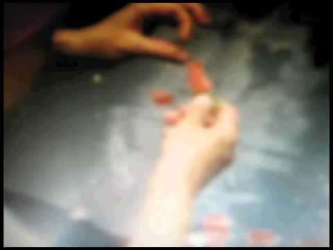 Laetitia Sadier - 'The Rule Of The Game'