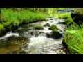 Rauschendes Wasser im Schwarwald Rauschendes Wasser im Schwarwald
