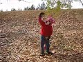 PINXS FIRST VIDEO! LEAF SILLYNESS!