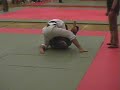 Southern Opening