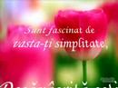 Tulipe Tulipe