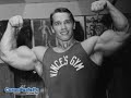 Matéria Fernando Marques - Musculação / Fisiculturismo Matéria Fernando Marques - Musculação / Fisiculturismo