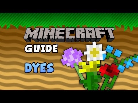 how to dye minecraft