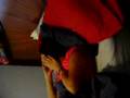 videos de steffa sinqinq