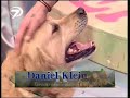 Aktör Köpek E?itmen Bora Erbek ve Ak?ll? Köpek Dost Tv Sovu Aktör Köpek E?itmen Bora Erbek ve Ak?ll? Köpek Dost Tv Sovu