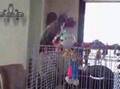 Parrot Care 101 - Poop 2A Starring Puppy and Einstein