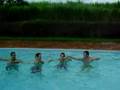 Niver Paty - Parte 2