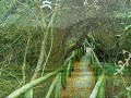 Parques y paisajes naturales de Andalucía