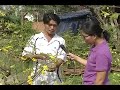 Vườn Kiểng Minh Phương - Địa chỉ: 48 đường số 2 ,khu phố 1,phường Thạnh Mỹ Lợi,Quận 2,Tp HCM - Tel: 0982 553 678 Phương - Email: luuphuong_1977@yahoo.com luuphuong1977@gmail.com - Website: www.maivangminhphuong.com Cây cảnh đang ngày càng phát triển và cần thiết trong cuộc sống hiện nay. Đặc biệt là dịp xuân về Tết đến. Với niềm đam mê cây kiểng và nhiệt huyết vườn kiểng Minh Phương xin được góp phần làm tươi đẹp hơn cuộc sống của chúng ta. Với hơn nhiều năm trong nghề cây cảnh đặc biệt là cây Mai truyền thống một loài cây không thể thiếu trong ngày tết cổ truyền của người miền Nam. Với tiêu chí cây của khách như cây của mình nên quý khách có thể yên tâm tuyệt đối về chất lượng cây của mình.Cây gởi tại vườn được bảo đảm đàng hoàng. Cách thức giao dịch - Quý khách có thể mang cây đến vườn hoặc liên hệ qua điện thoại. - Vườn kiểng Minh Phương được đăng ký kinh doanh,hình thức hợp đồng đều tuân thủ theo pháp luật và quy định Việt Nam. Chúng tôi cung cấp các dịch vụ sau: - Mua bán, cho thuê Mai kiểng và Mai tết. - Nhận dưỡng ghép màu giống Mai sau tết, chăm sóc, xử lý ra hoa theo yêu cầu. - Cấp cứu cây tư vấn hỗ trợ kĩ thuật tận nơi. - Thiết kế sân vườn,hòn non bộ... Sau đây là gía một số dich vụ: - Cho thuê 50% gía trị của cây/tháng. - Bảo dưỡng 30% giá trị của cây/năm. Dẫn đường: Cầu Sài Gòn tới ngã 3 Cát Lái đi quẹo hướng về cảng Cát Lái, rẽ vào đường Nguyễn Thị Định,qua cách cầu Giồng Ông Tố đi 1km hướng về Cát Lái sẽ thấy đường Trịnh Khắc Lập vào đường số 2 bên tay trái <b>...</b>