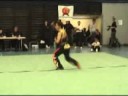 3rd Swiss Wushu Qualifying Competition 2008