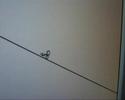 Line Rider �4Xxo0r