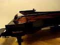 Europa 2007 - Vienna (Bosendorfer)