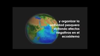 Tecnología satelital y la merluza argentina