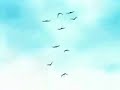 Sasodei - Human Sacrifice