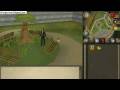 videos de runescape how to make just under 5 millon in f2p and p2p