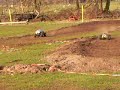 Rijden met Marder en monstertruk