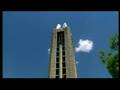 KU Fans React To Darrell Arthur Investigation