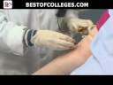 Visit http://www.bestofcolleges.com for more information. Phlebotomists, also known as Phlebotomy Technicians, are clinical laboratory technicians, who are trained to collect blood for testing or for transfusions. The skill of Phlebotomy is used by Physicians, Nurses, Medical Assistants and other allied healthcare workers. As the workload of healthcare professionals is ever increasing, a Certified Phlebotomist can help reduce the work load of doctors and nurses by carrying out blood collection tasks. Find the right Phlebotomy Schools at Best of Colleges.