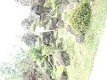 Goodbye Cambodia!